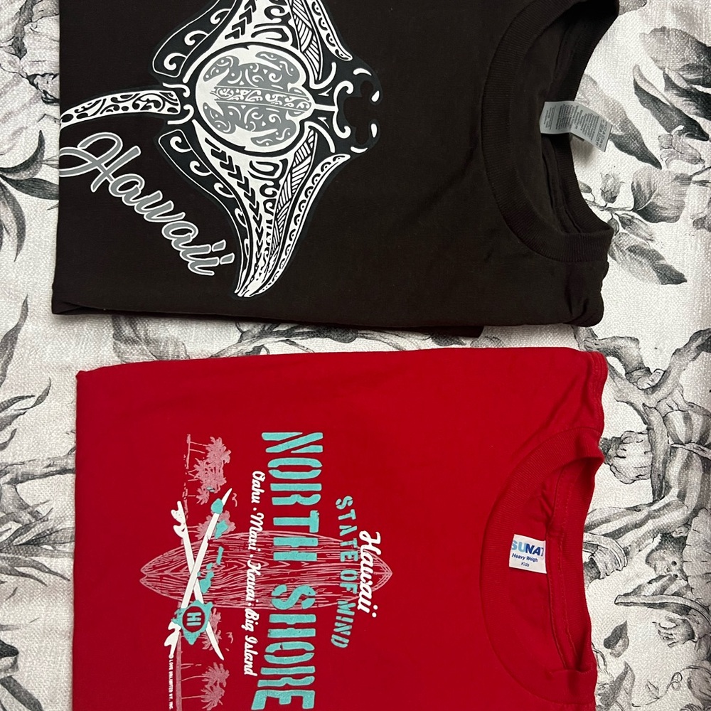 Hawaii Kids Graphic T-Shirts - Red and Black